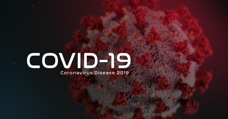 Die COVID19-Pandemie: Die drohende Katastrophe und wie man sie bekämpfen soll
