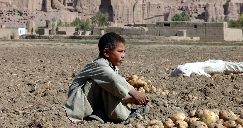 Afghanistan: Hunger unter der Taliban-Peitsche