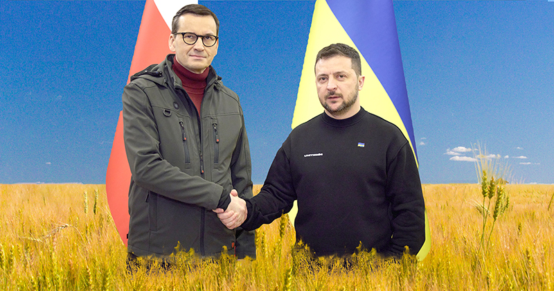 Ukrainischer Weizen plagt die EU